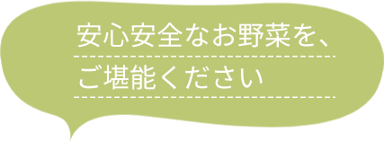 文字「安心安全なお野菜をご堪能ください」